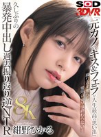 DSVR-1733 small cover image
