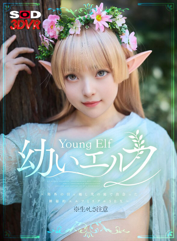 DSVR-1746 thumb image 14