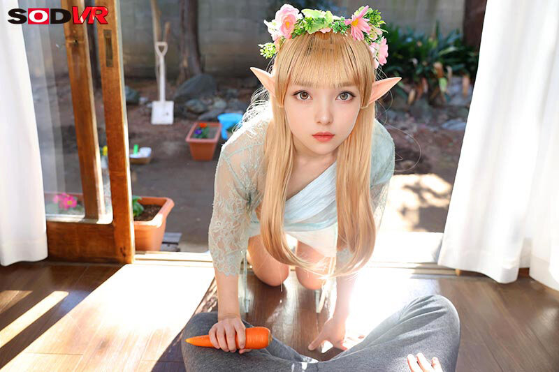 DSVR-1746 thumb image 5