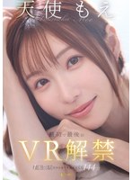 FSVSS-15 small cover image