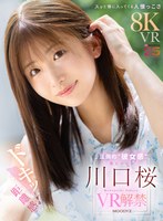 MDVR-381 small cover image