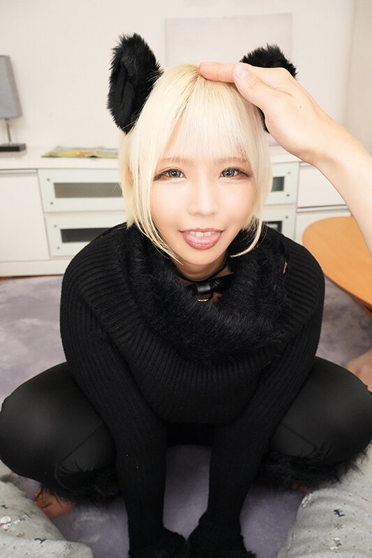 SAVR-875 thumb image 15