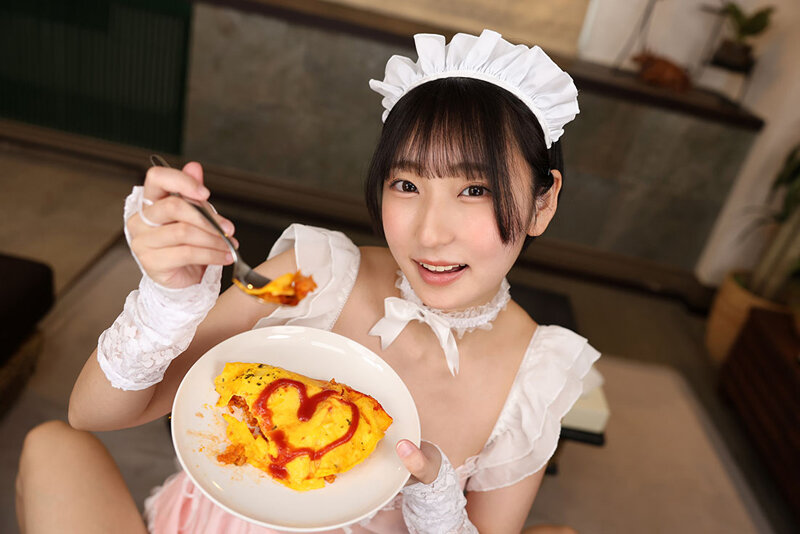 SAVR-1012 thumb image 10